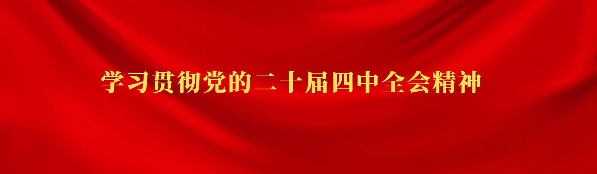 进建贯彻党的二十届四中全会心灵