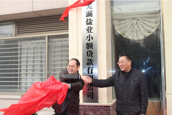 芜湖非凡国际幼额贷款有限公司12月26日进行开业庆典