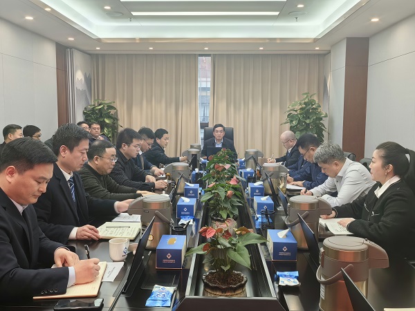 王思军在非凡国际等三家公司沉点工作推动会上强调要以新风格、新担任，实现新发展
