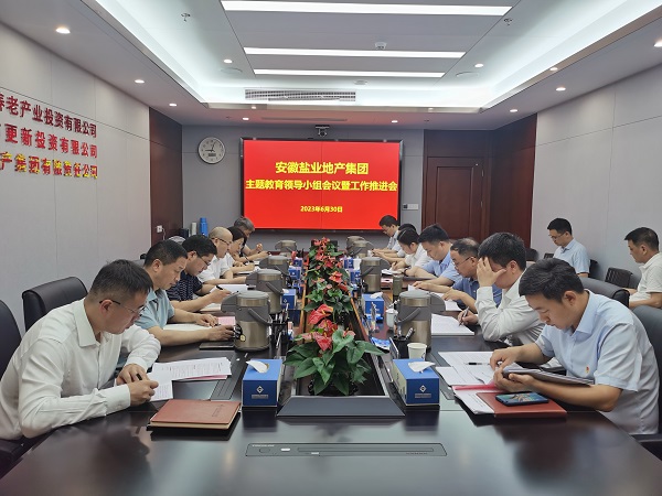 安徽非凡国际地产集团召开进建贯彻习近平新时期中国特色社会主义思想主题教育辅导幼组会议暨工作推动会